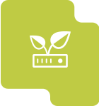Icon with leaves