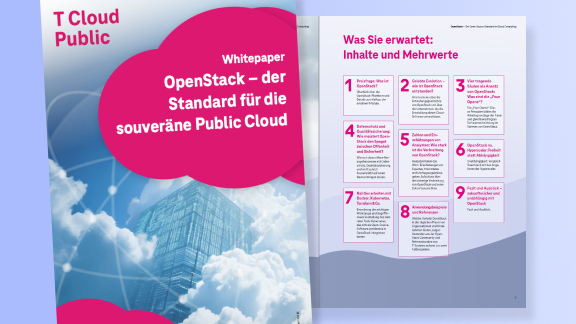 Vorschaubild eines OpenStack-Whitepapers mit Titelseite und Inhaltsübersicht.